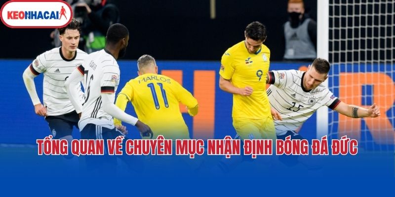tong quan ve chuyen muc nhan dinh bong da duc Tổng quan về chuyên mục nhận định bóng đá Đức